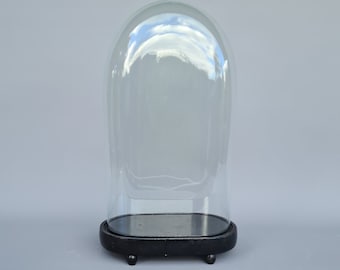 Antike viktorianische ovale mundgeblasene Glaskugelkuppel auf Holzbasis, Höhe gesamt= 50 cm ++
