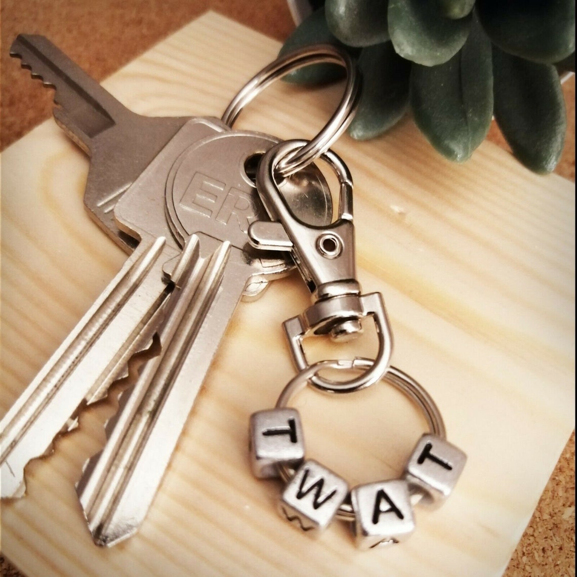 TWT Keyring Funny Fun SWEAR Word Charm Keychain Joke INSULT Etsy