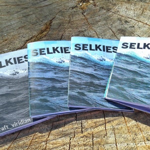 SELKIES zine image 1