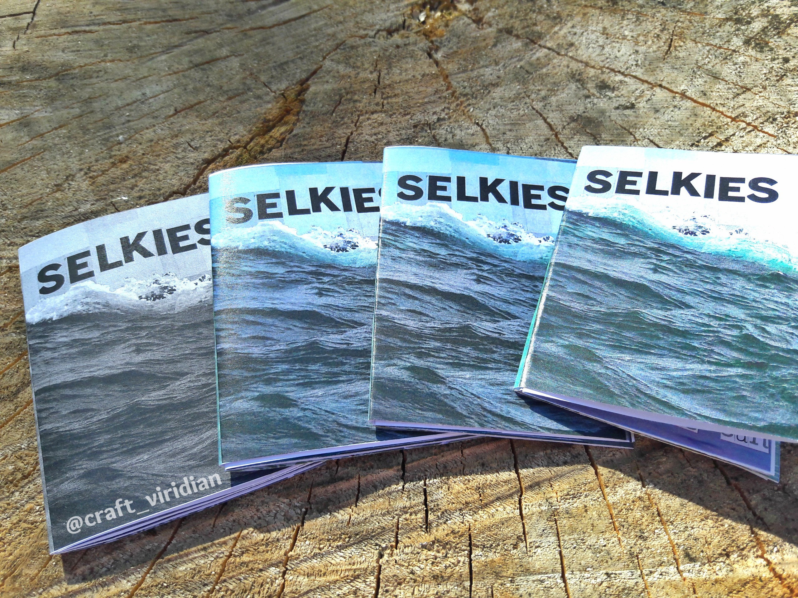 SELKIES Zine Etsy