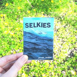 SELKIES zine image 3