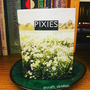 May include: A book titled "PIXIES" with a field of white flowers on the cover, set on a dark green plate. The book is surrounded by other books on a wooden shelf. The text "PIXIES" is in a black rectangle.