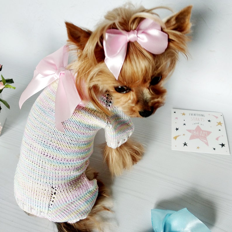 Knit Dog Jumpsuit with bow Dog Jumpsuit Costume Small Dog Etsy
