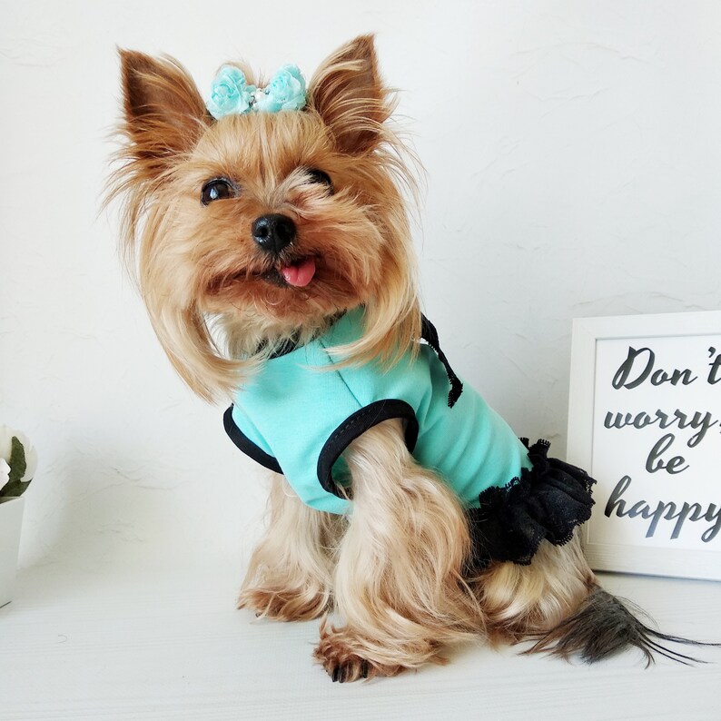 Cute Dog Dress Dog Clothes Girl Teacup Dog Clothes Luxury Etsy