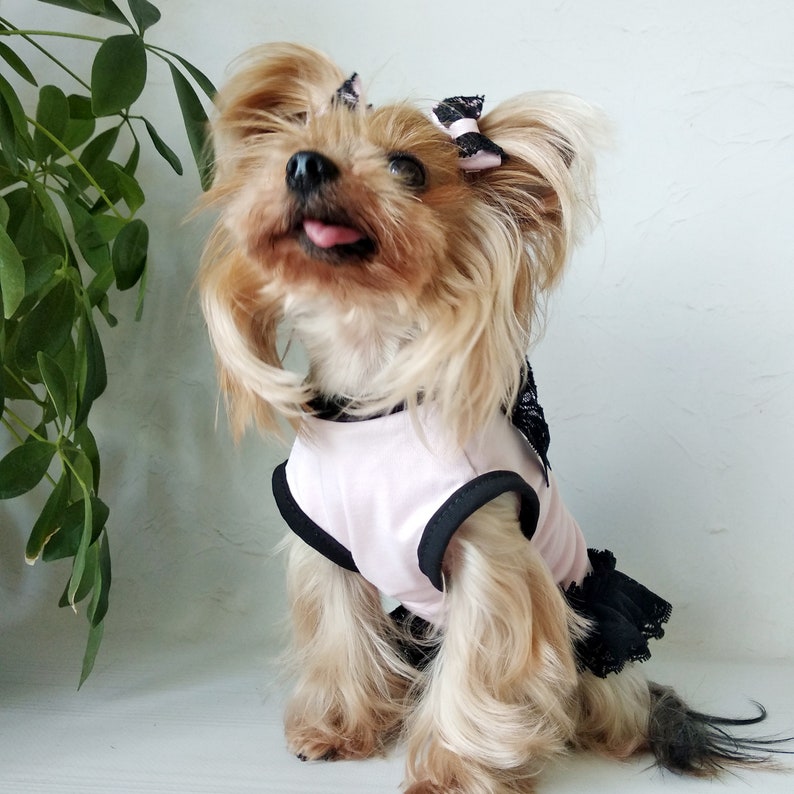 Cute Dog Dress Dog Clothes Girl Teacup Dog Clothes Luxury Etsy