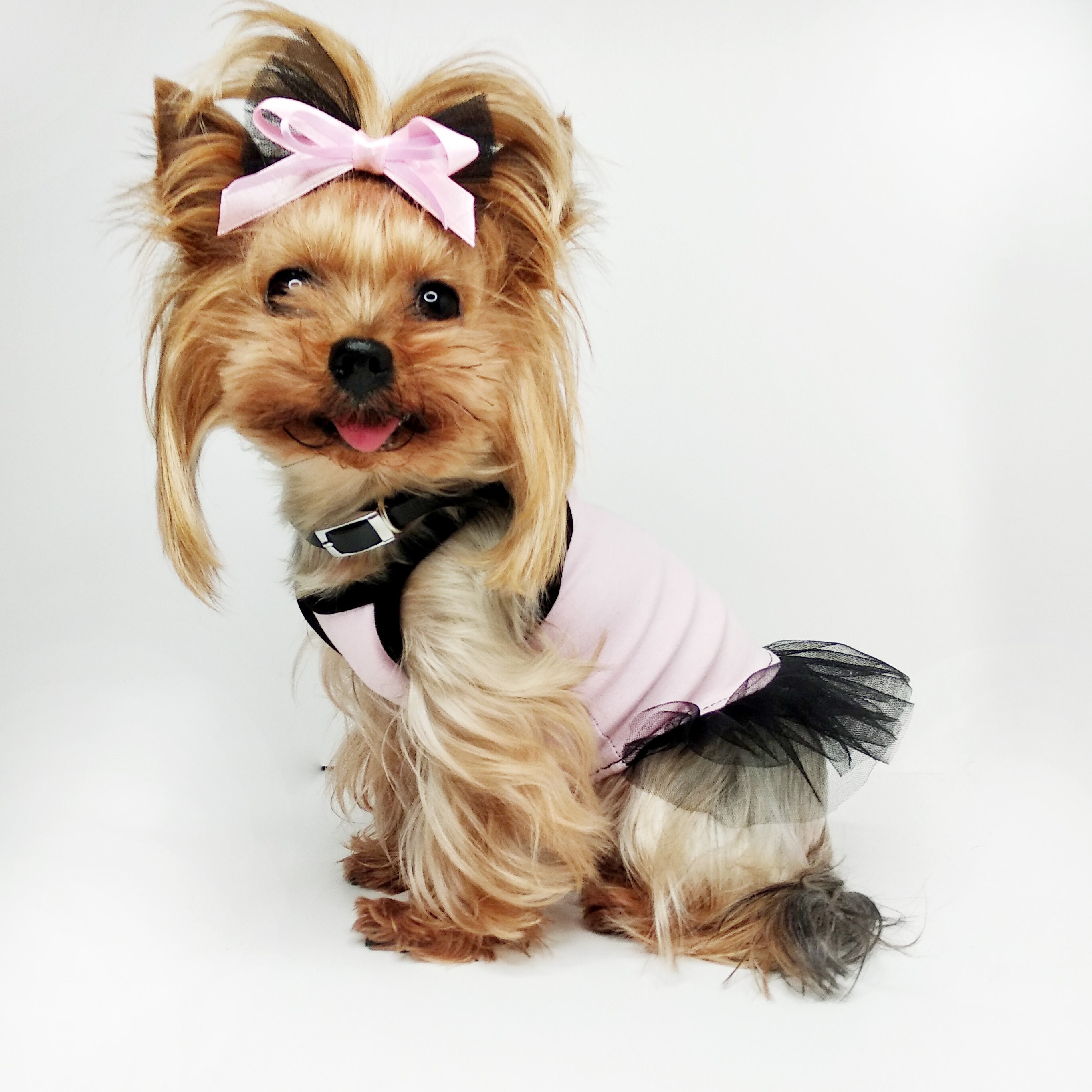 Cute dog dress dog clothes girl teacup dog clothes luxury Etsy