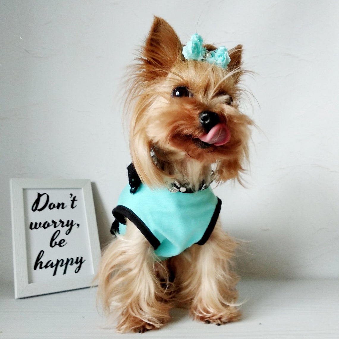 Cute Dog Dress Dog Clothes Girl Teacup Dog Clothes Luxury Etsy