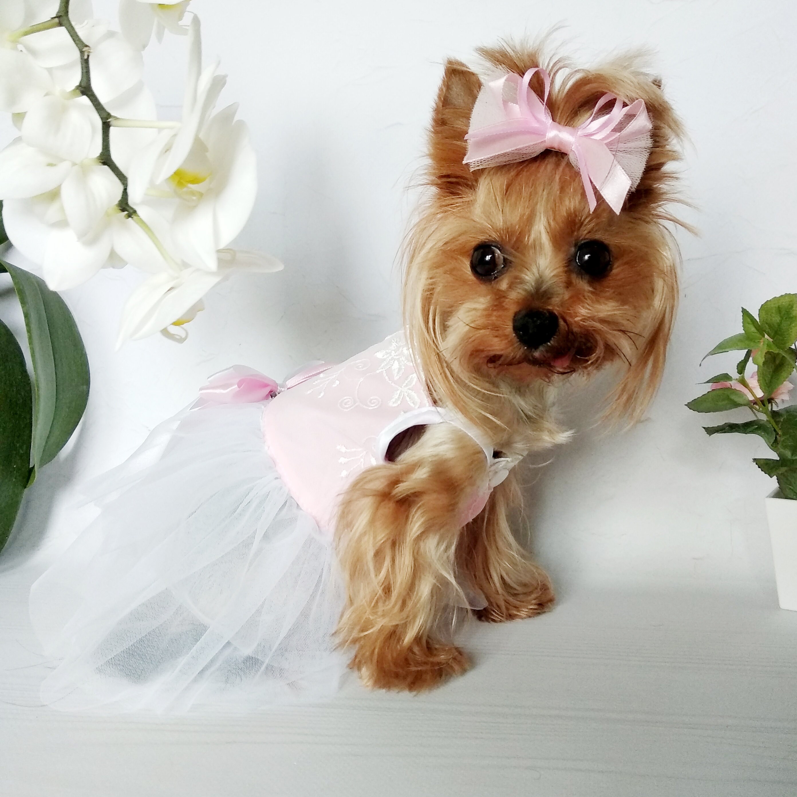 Wedding dog dress dog wedding dress custom dog dress dog Etsy