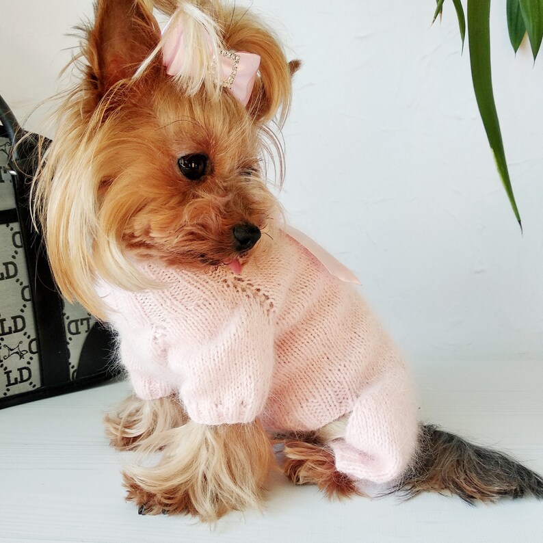 Knit Dog Jumpsuit with bow Dog Jumpsuit Costume Small Dog Etsy