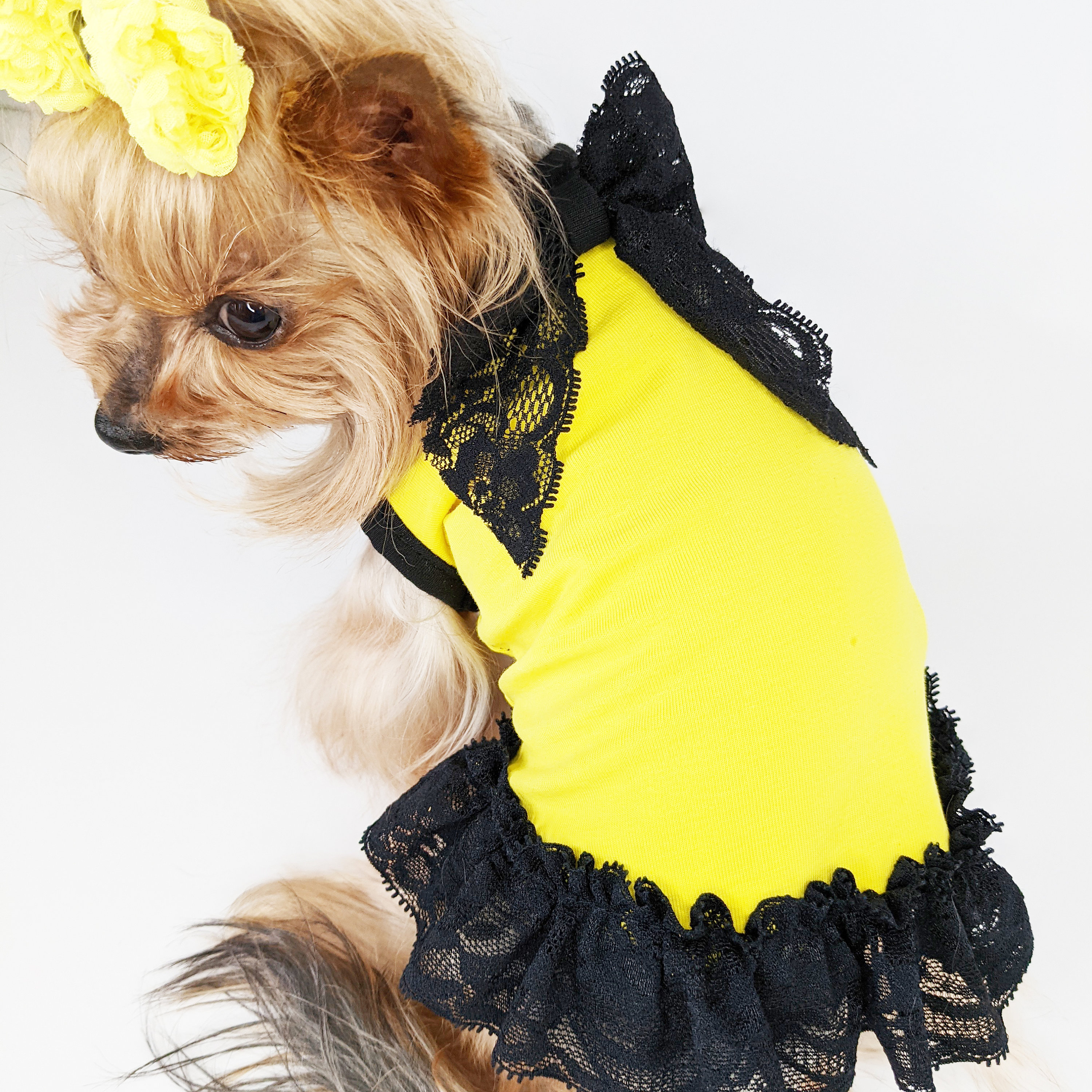 Dog clothes dresses