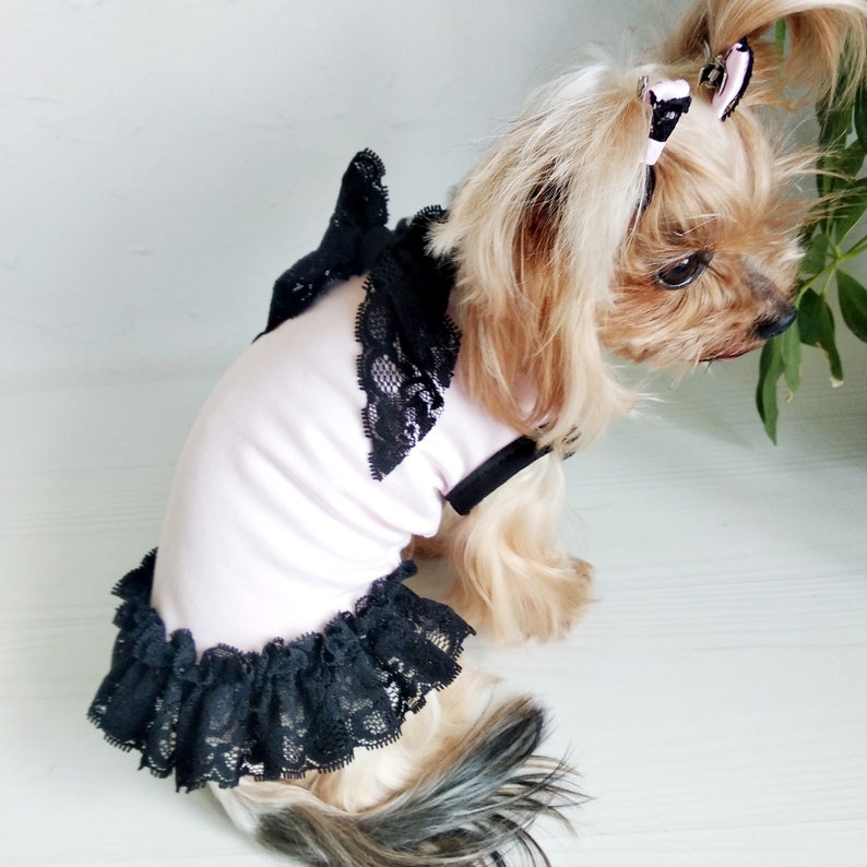 Cute Dog Dress Dog Clothes Girl Teacup Dog Clothes Luxury Etsy