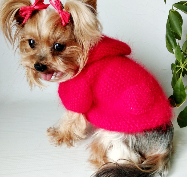Small dog sweater dog sweater pet sweater small dog Etsy