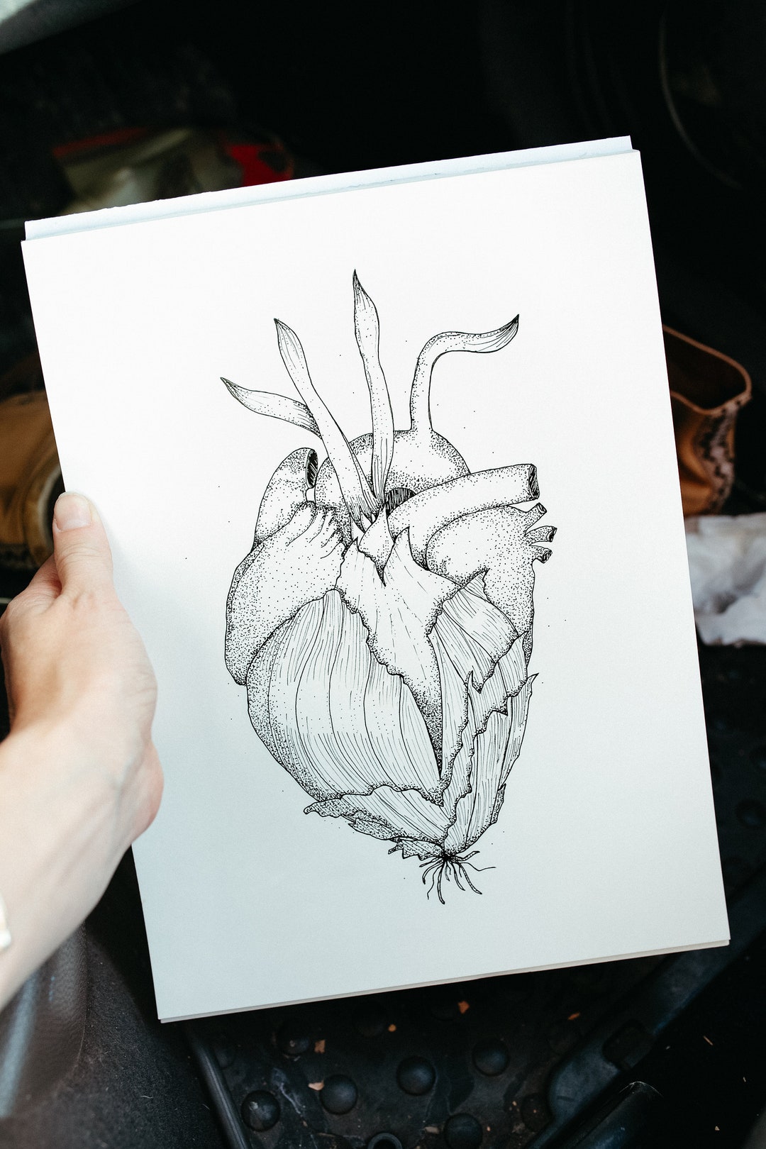 Anatomical Heart Ink Drawing, Onion Layers - Wall Print - Etsy