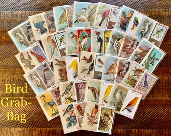 10 Piece Vintage Cigarette Card Grab-Bags- Choose From Floral, Birds or Insects!