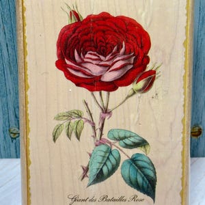 Inkadinkado Timbro In Legno Con Soggetto Libellula - 3,5x5,5 Cm, Per Scrapbooking E Biglietti Fai Da Te