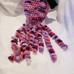 Alexandra the Octopus