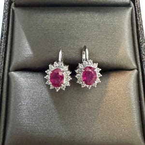 May include: A pair of silver-toned earrings featuring oval-cut deep pink center stones surrounded by a halo of small, clear, round-cut stones. Each earring has a secure lever-back closure, showcasing a classic design with vibrant color contrast.