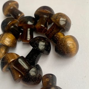 Tigers Eye Mini Mushroom
