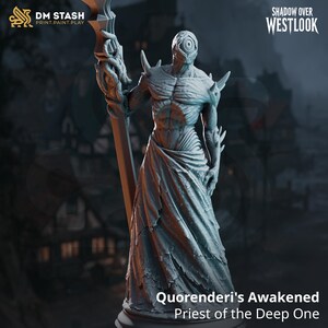 May include: A grey, unpainted miniature figurine of a humanoid creature with a single large eye on its head, wearing a tattered robe, and holding a tall, ornate staff. The text "DM STASH", "SHADOW OVER WESTLOOK", and "Quorenderi's Awakened Priest of the Deep One" is visible.
