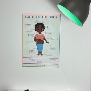 AFFICHE | Parties du corps en langues africaines