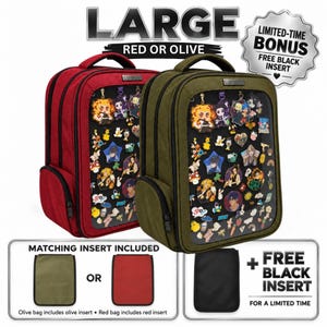 Large Ita Backpack with Removable Pin Display Insert, Fits 16-Inch Laptop | CariWare