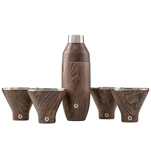 Insulated Stainless Steel Cocktail Shaker and Martini Glass Set