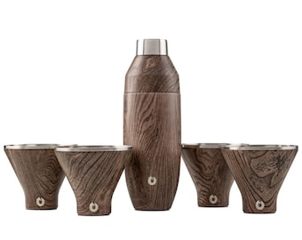 Juego de coctelera y copa de martini de acero inoxidable con aislamiento