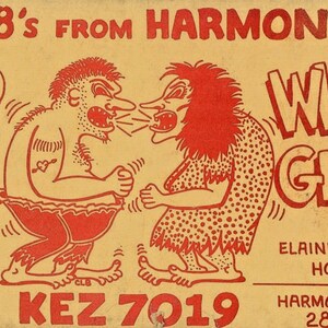 Postkarte QSL ""Wild Man"" ""Wild Girl"" KEZ7019 Harmony, NC." L4