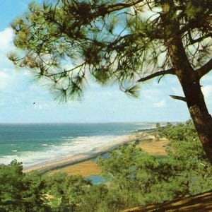 Vista de postal de la playa en el parque Torrey Pines, California. R7
