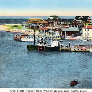 Postkarte Frühe Ansicht von Oak Bluffs Hafen, Martha's Vineyard, MA. L1