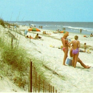 Vue de carte postale des dunes et belle vue sur l’océan à Virginia Beach, VA. Q5