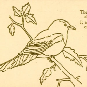 Postkarte Frühe Ansicht, "Die Elster Vogel Schnatterer" L3