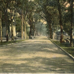Postkarte Antike Ansicht der Temple Street in New Haven, CT. L1