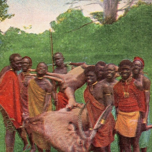 Puede incluir: Postal vintage que representa a un grupo de personas con vestimenta tradicional reunidas alrededor de un animal con grandes cuernos. La escena se desarrolla al aire libre, con hierba verde y árboles al fondo. La gente sonríe.