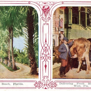 Carte postale de voeux au début de la Floride : des palmiers à Palm Beach et une livraison de lait à Key West. A1