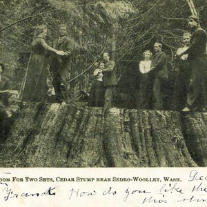 Carte postale RPPC - Vue de personnes dansant sur une souche de cèdre. Sedro-Woolley, Washington. aa6