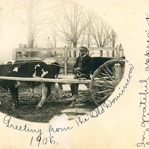 Cartão postal 1906 'Saudações de Páscoa da carroça de bois dos "Old Dominions" no início da Virgínia. Z1