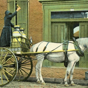 Postkarte frühe Ansicht der Frau, die Glocke auf einem Pferdewagen läutet, der Milch, New Orleans, LA verkauft.  Y1