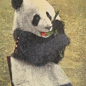 Cartão postal Panda, Forest Park Zoo, St. Louis, MO. U1
