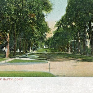 Postkarte Früher Blick auf die Hillside Avenue in New Haven. L4