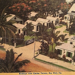 Carte postale 1943 Vue de Cactus Terrace à Key West, FL. T6