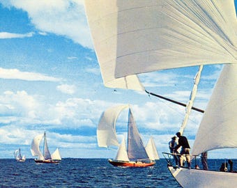 Ocean Yacht Racing Postcard: Newport RI Coast B9
