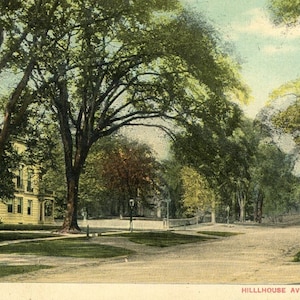 Postkarte Frühe Ansicht von Hillhouse Allee, New Haven, CT. L6