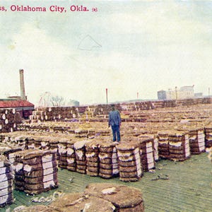 Cartolina con vista anticipata di un impacco di cotone a Oklahoma City, OK. Z9