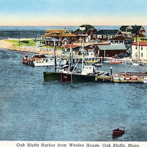 Ansichtskarte Frühe Ansicht von Oak Bluffs Harbour, Martha's Vineyard, MA. L1