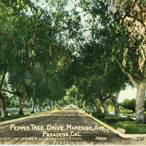Carte postale Early View of Leatherwood Lane, Wheeling, Virginie-Occidentale. L2