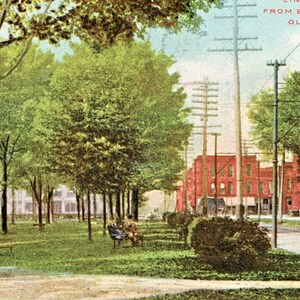 Vista inicial do cartão postal de Lincoln Park de East State Street, Olean, NY. L3