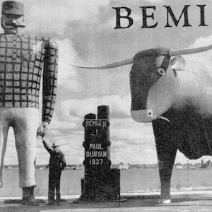 Pocztówka Paul Bunyan Water Festival, Bemidji, MN. Z9