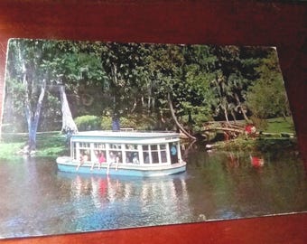 Vintage Silver Springs Florida Postcard: Glass Bottom Boats