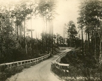 Cartão Postal Vista RPPC do Parque Estadual de Itasca, Minnesota. aa6
